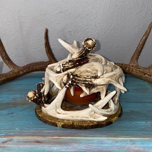 Antler Decor
